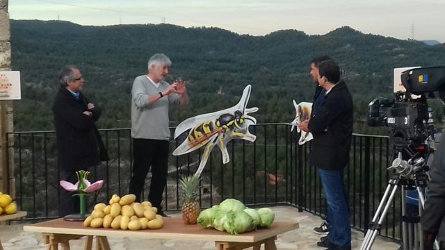 Divendres Orpí