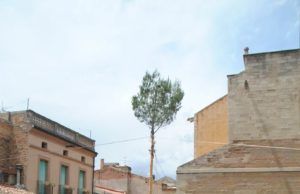 Dissabte, dotzena edició de la festa de l’Arbre de maig