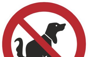 La identificació genètica dels excrements permet sancionar dos propietaris de gossos als Hostalets de Pierola