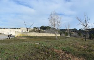 Igualada tindrà un espai per al record dels nadons que moren durant la gestació