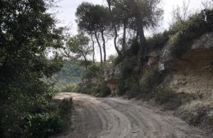 Jorba revisa 7,5 quilòmetres de camins del municipi