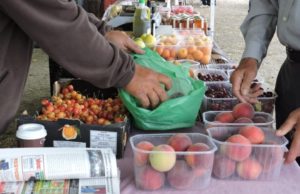 Nova edició del Mercat de la Fruita Dolça de Piera