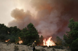 L’incendi de la Conca de Barberà i l’Anoia ja ha cremat unes 1.000 hectàrees
