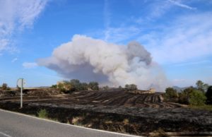L’incendi de Santa Coloma de Queralt afecta més de 150 hectàrees i obliga a confinar Bellprat