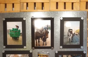 La Masuca exposa fotografies del Concurs dels Tres Tombs
