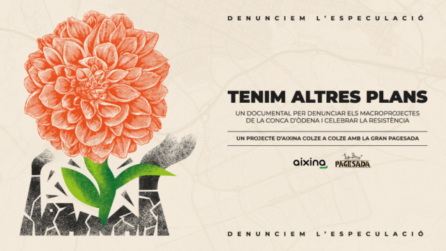 tenim altres plans 2