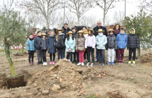 El Consell dels Infants d’Igualada planta 90 noves oliveres per conèixer el procés tradicional d’elaboració de l’oli