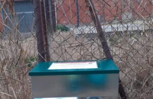 Calaf habilita cinc menjadores per ordenar i controlar les colònies de gats