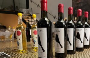 Els Petits Vinicultors de la Conca mostren divendres els seus vins en una festa a Igualada