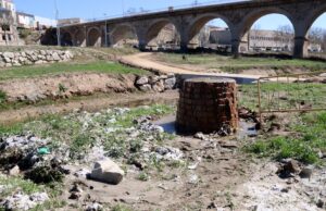 Centenars de tovalloletes s’acumulen al riu Anoia després de les darreres pluges