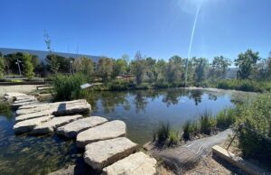 Visites guiades al Parc Central d’Igualada per conèixer la seva biodiversitat