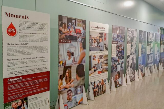 ExposicioHPN