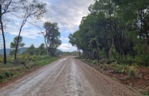 Jorba inicia l’arranjament de diversos camins forestals per la prevenció d’incendis