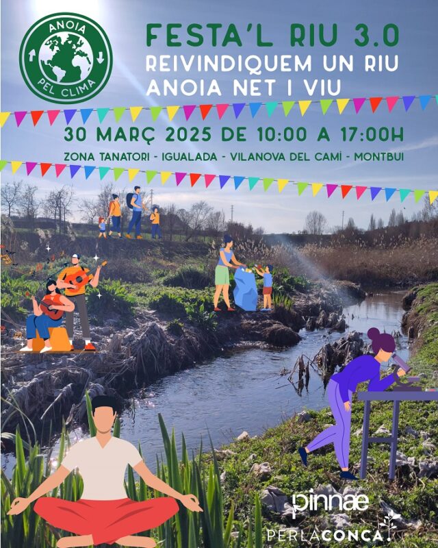 festal riu 3.0 insta-02