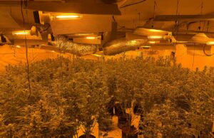 Desmantellen a l’Anoia un grup dedicat al tràfic internacional d’haixix i marihuana