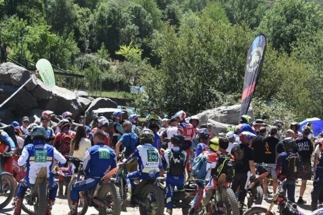 Foto per trial de Lleó