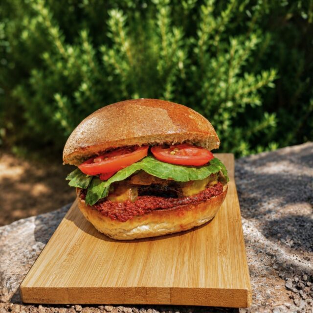 PACOiEBF_Hamburguesa