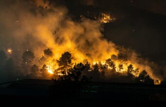 Incendis: només foc?