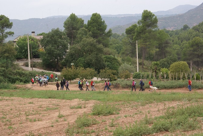 [Img #25159]